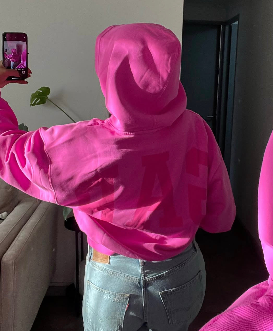 Hoodie Viral GAP