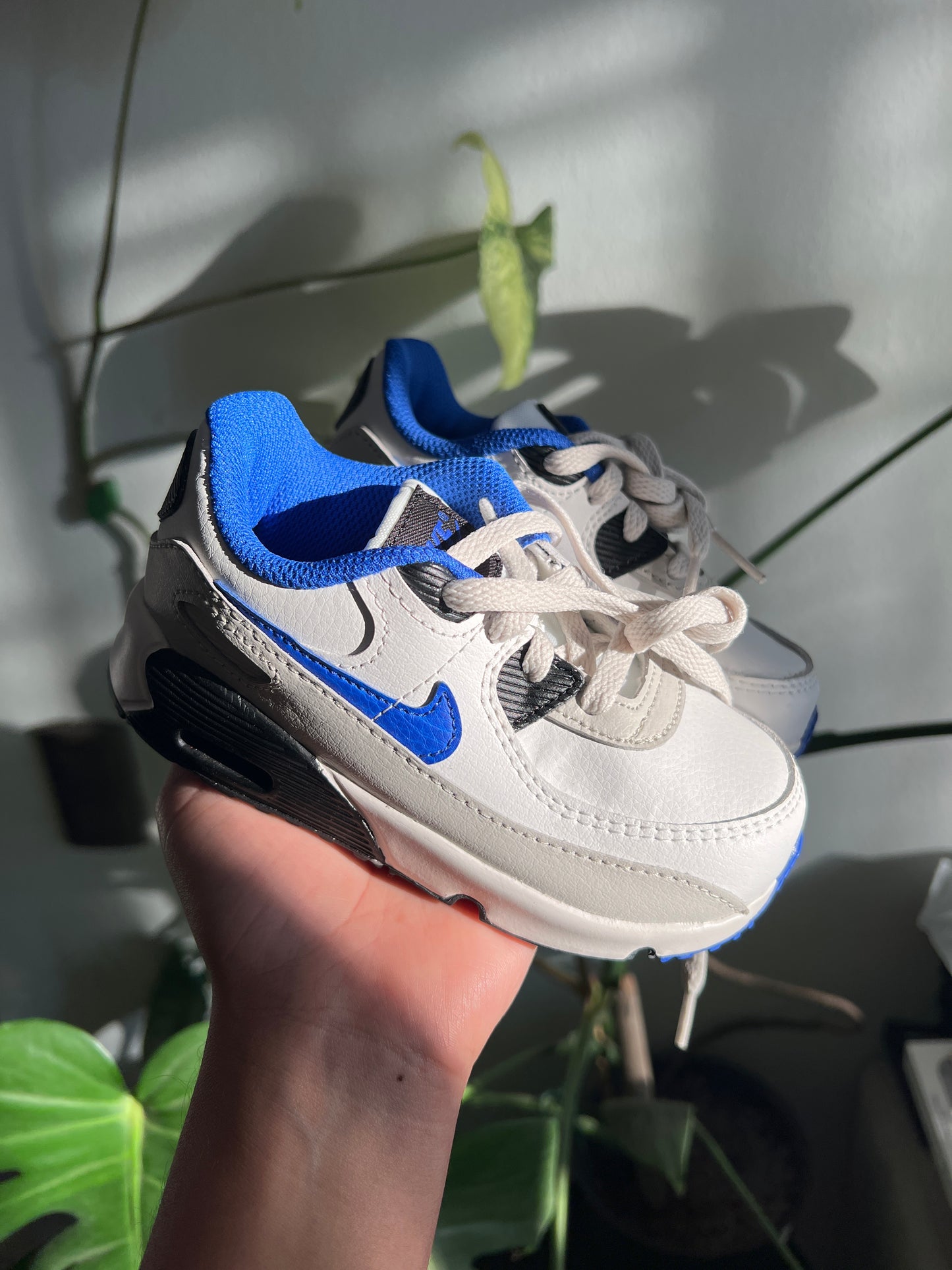 Zapatilla Air Max 90